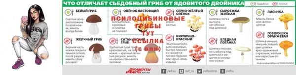 ECSTASY Волосово