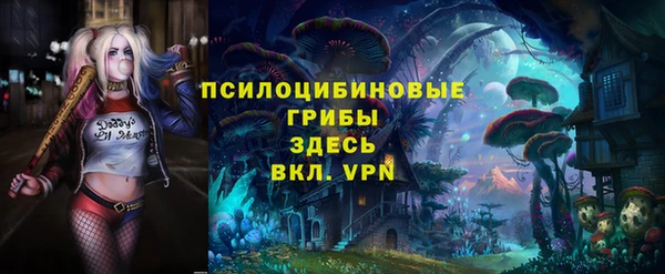 MDMA Premium VHQ Волоколамск