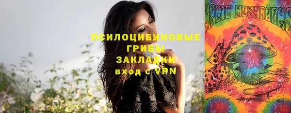 ECSTASY Волосово